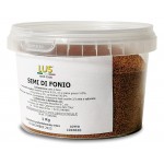 Lus.Fonio Paddy 1kgr