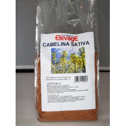 Elevage. Camelina Sativa  1 kgr