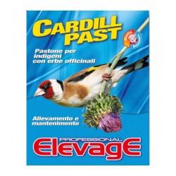 Elevage - Cardill Past 4 kgr