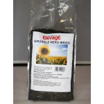 Elevage. Girasole Nero Ibrido 1 kgr - Μαύρος ηλιόσπορος υβρίδιο Micro 