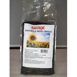 Elevage. Girasole Nero Ibrido 1 kgr - Μαύρος ηλιόσπορος υβρίδιο Micro 