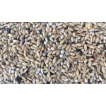 Elevage - Canari Extra White  Con Perilla sana seeds  20 kgr