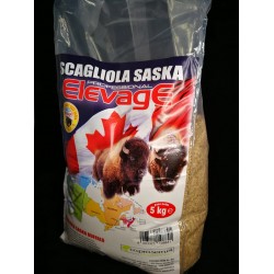 Elevage. Scagliola Saska Buffalo  5 kgr (συσκευασμένο ασπούρι  5 κιλά )